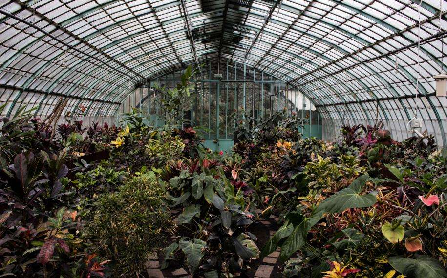 Hotel Botaniste - Jardins des Serres d'Auteuil